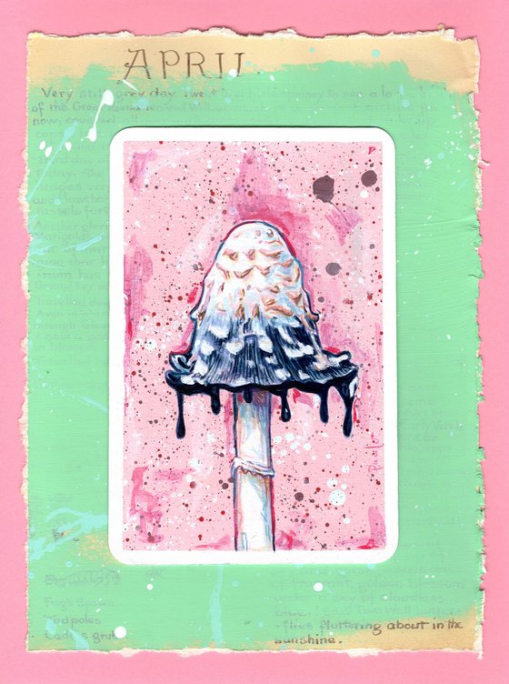 Shaggy ink cap mushroom