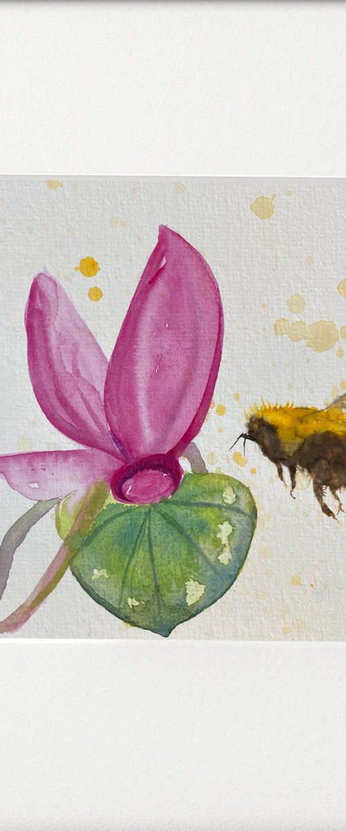 Bee & Cyclamen flower by Teresa Tanner