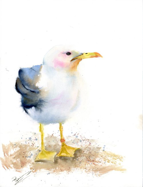 Seagull by Olga Shefranov (Tchefranov)