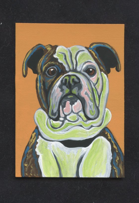 ACEO ATC Original Painting Colorful Olde English Bulldogge Pet Dog Art-Carla Smale