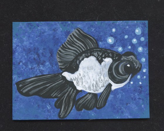 ACEO ATC Original Miniature Painting Panda Moor Goldfish Pet Art-Carla Smale