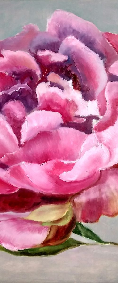 Maroon peony by Yulia Berseneva
