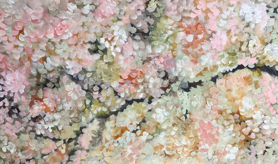 Blossoms