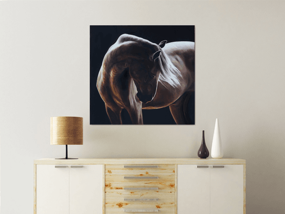 Equine light