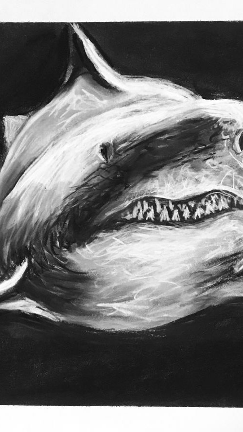 I'm Trying To Smile by Robbie Potter