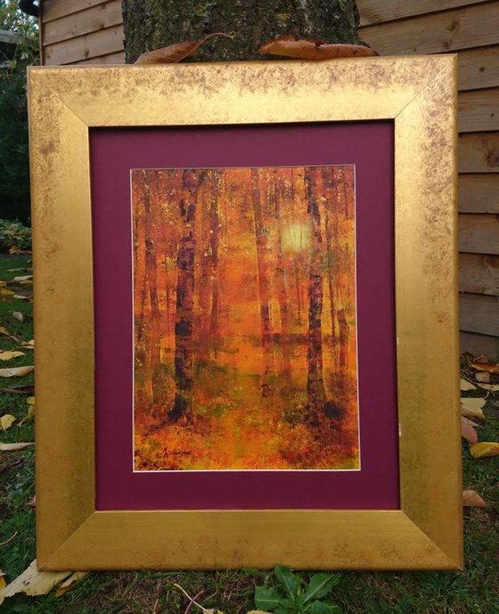 Autumn Light Through Trees I (framed)