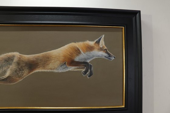 A Fox in Motion