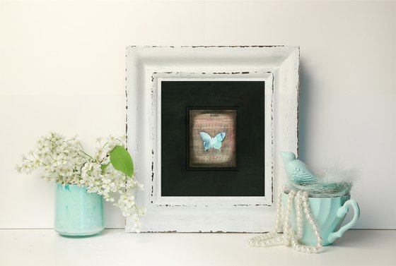 Butterfly Medley Collection 4