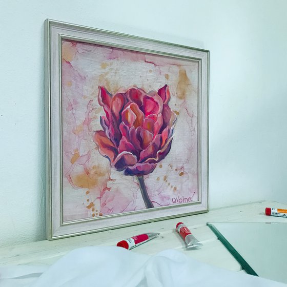 Framed Pink Tulip 50