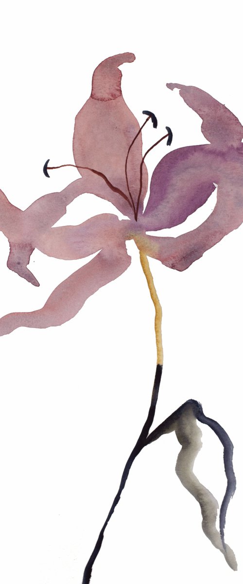 Lily No. 2 by Elizabeth Becker