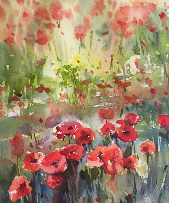 Poppies