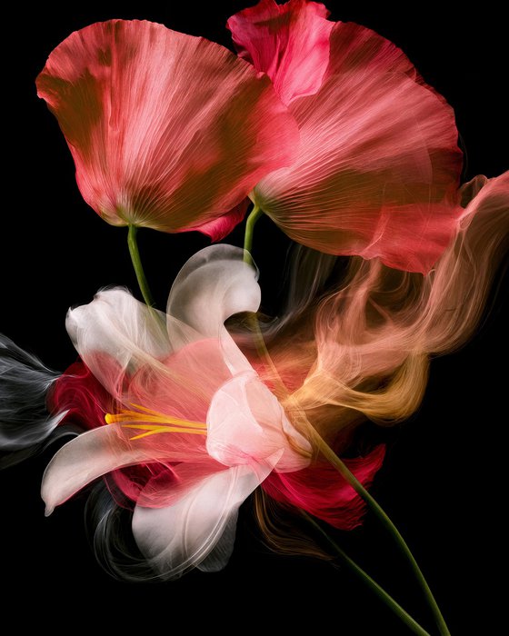 Ashes to Petals