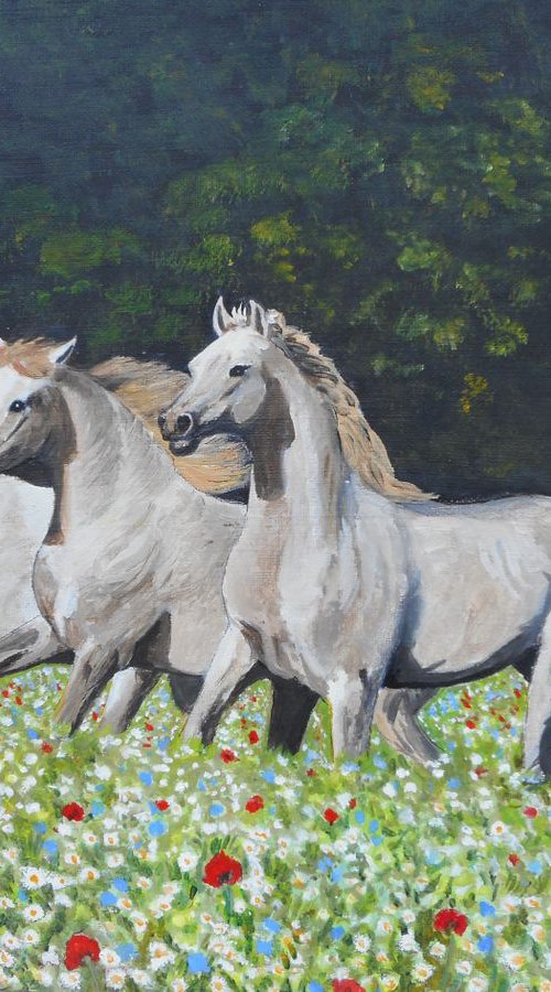 White Horses by Margaret Riordan