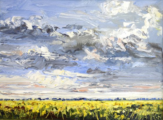 Flowering fields