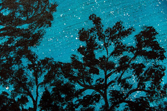 Tranquil forest under stars