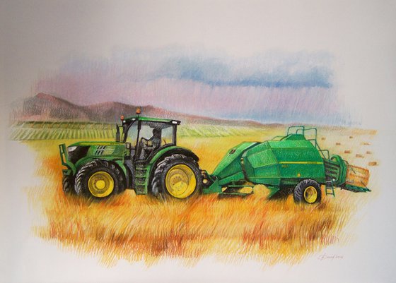 Green tractor on the yellow wheat field.