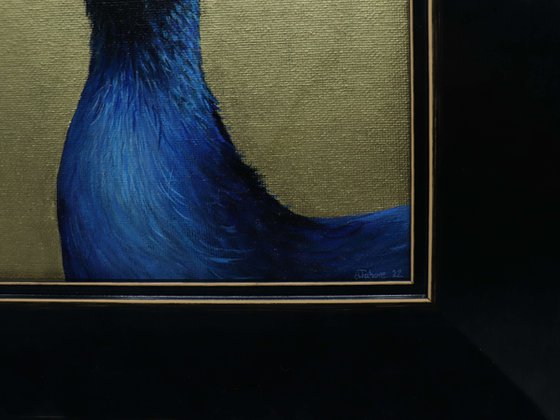 Peacock Portrait V