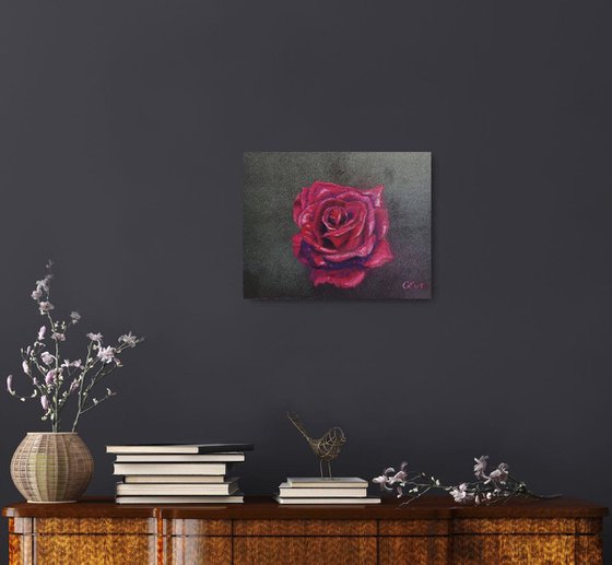 Perfect velvet burgundy rose.  24x18 cm. Plein Air. Perfetta rosa bordeaux vellutata