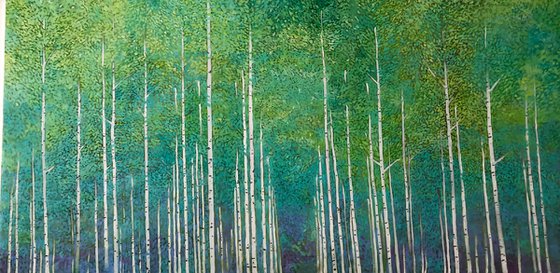 Birch Forest