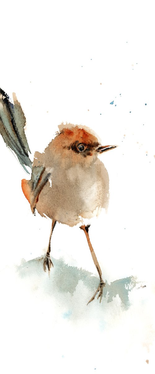 Wren Bird by Sophie Rodionov