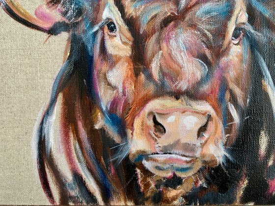 Big Red, Limousin X Bull, Original Oil Painting on Linen Board