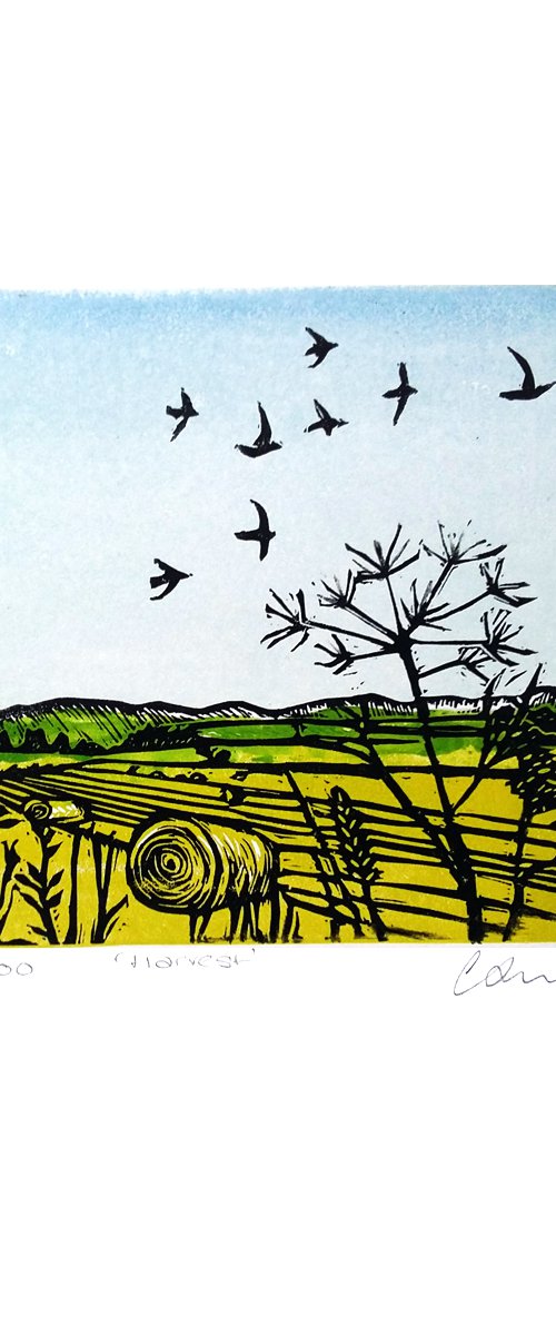 Harvest Linocut by Carolynne Coulson