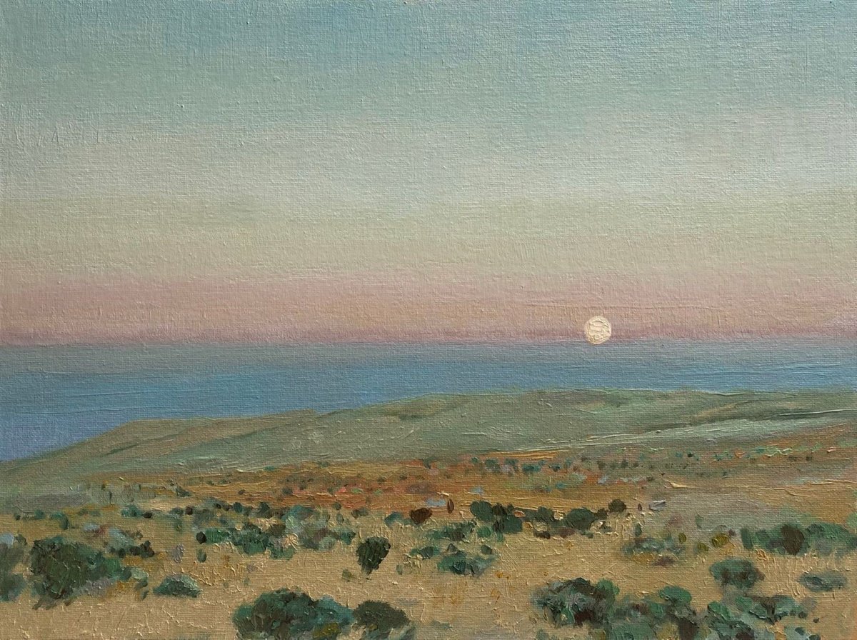 Impressionistic Landscape Oil Painting By Bohdan Vykhrenko, 16 X 12, August Evening, Original Artwork