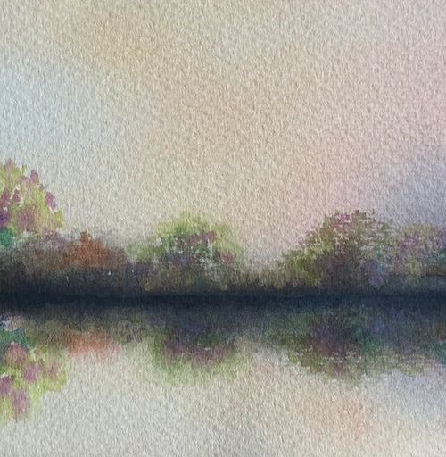 Azaleas,lilacs,rhododendrons by Samantha Adams