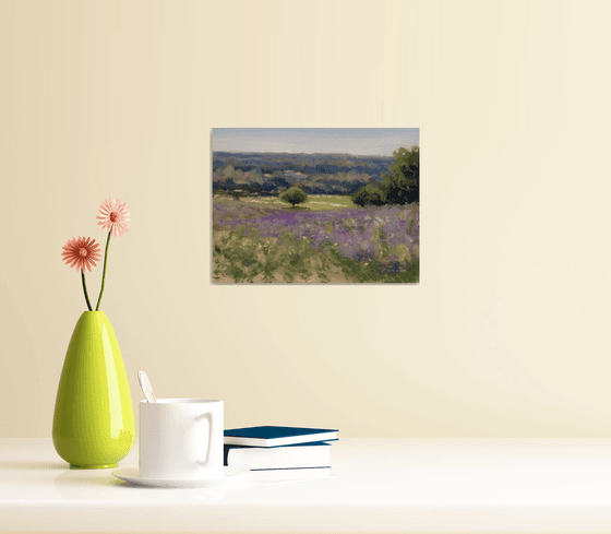 lavender field near Grignan