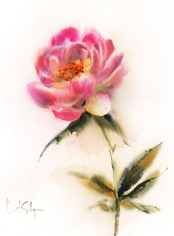 Pink Peony