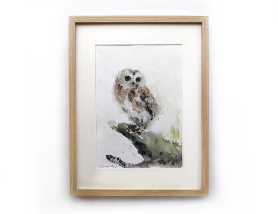 Owl on a branch - 20 x 29 cm