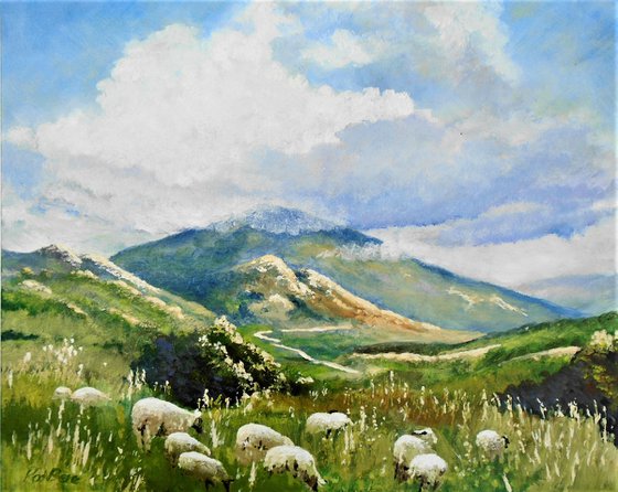 Cyprus Sheep (Revised)