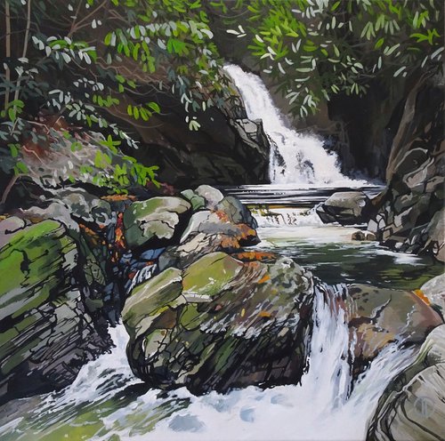 Cascade Falls Tollymore Forest by Joseph Lynch
