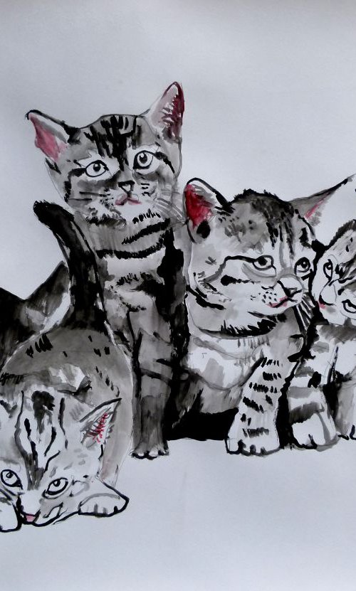 cats by Soso Kumsiashvili