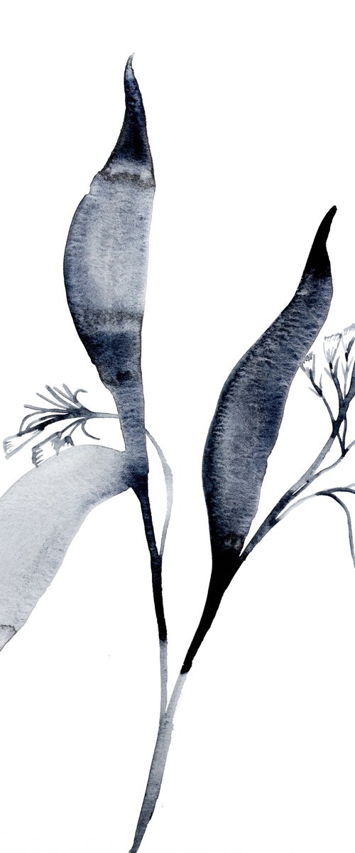 Plant Study No. 67 by Elizabeth Becker