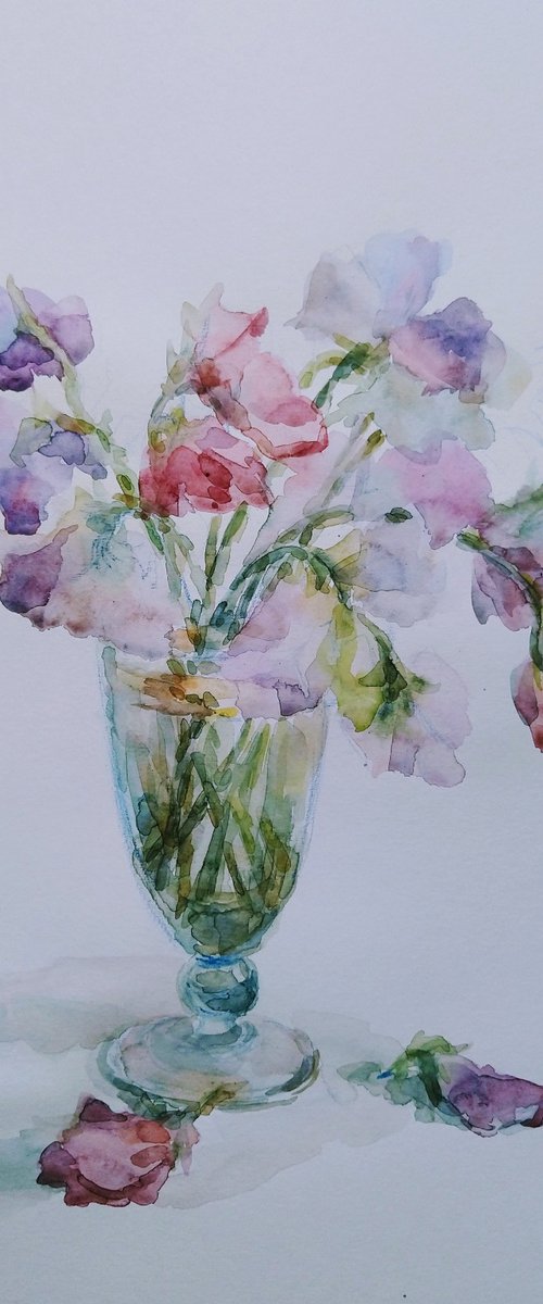 Sweet pea.  Original watercolour painting. 2021 by Elena Klyan
