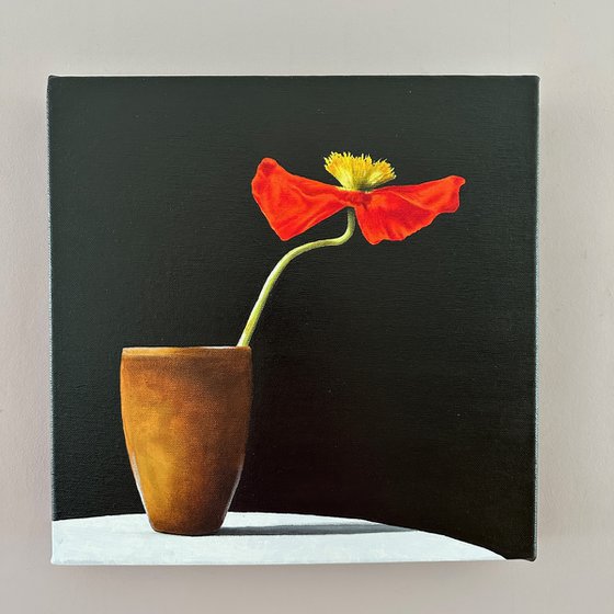 Ikebana: Poppy