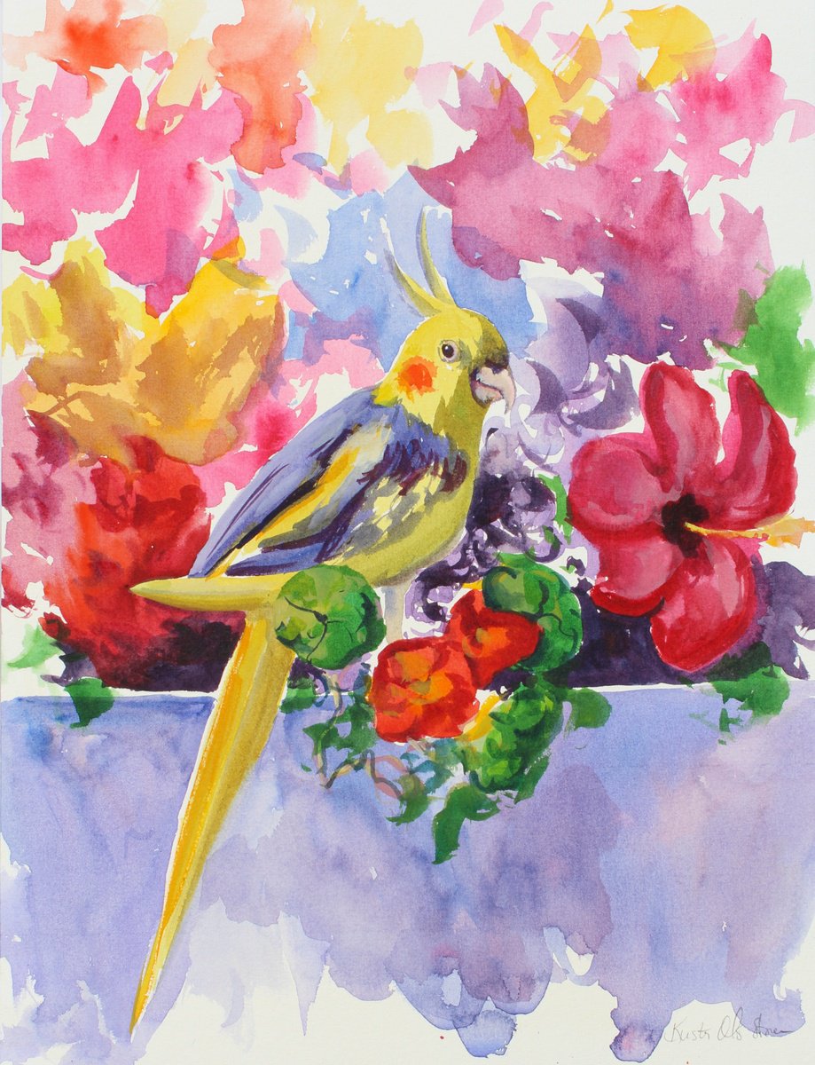 Cockatiel And Flowers by Kristen Olson Stone