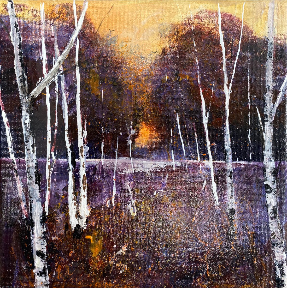 Seasons - Winter Sun through Silver Birch Trees by Teresa Tanner