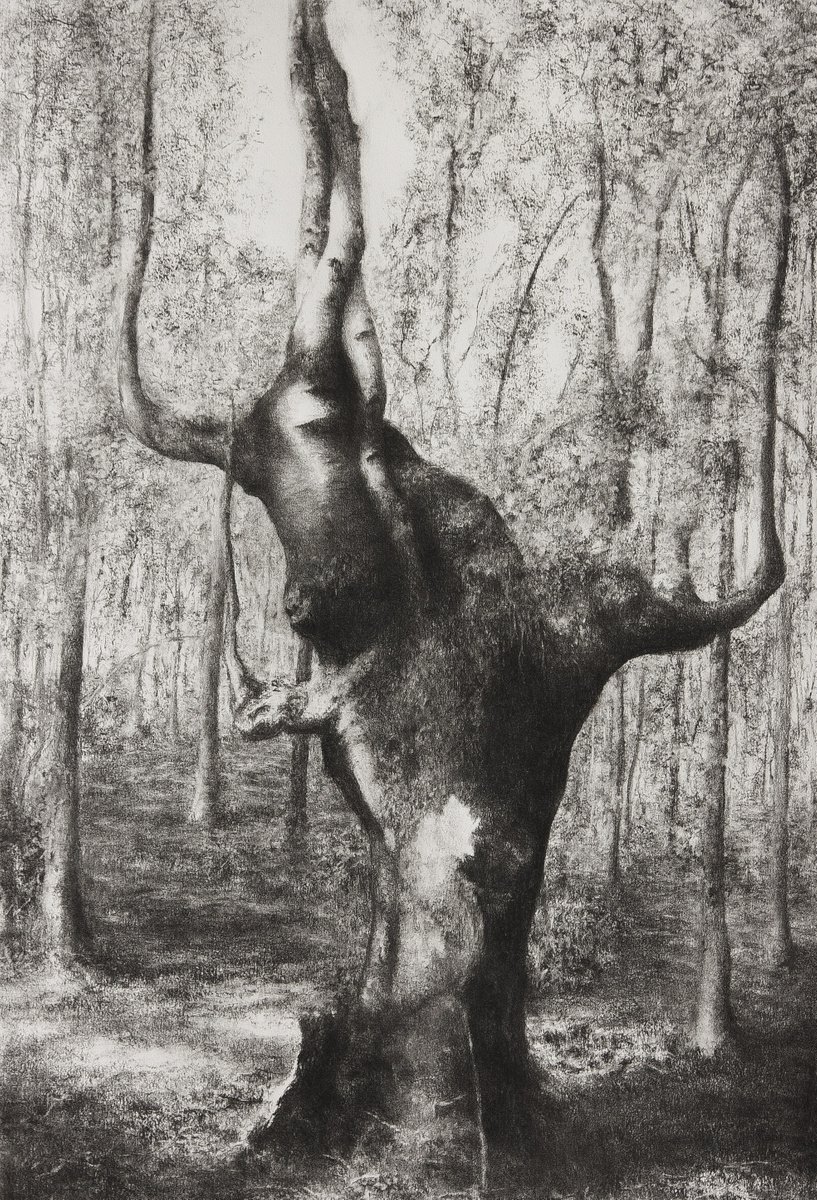 Photorealistic Landscape Charcoal Drawing By Przemek Kret, 28 X 39", Majestic, Original Artwork