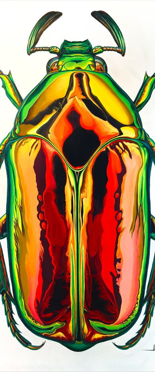 On Reflection / Wildfire by Alex Nizovsky