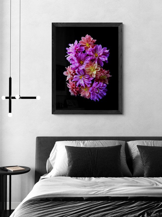 Pink and Peach Dahlias