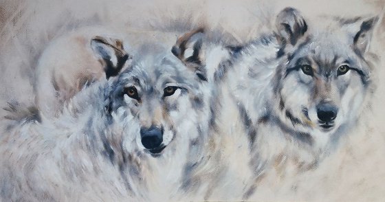 A pair of gray wolves