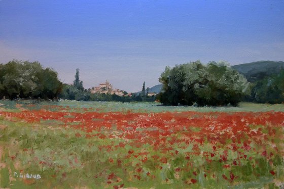 Poppy Field