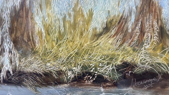 Old Willows by the River