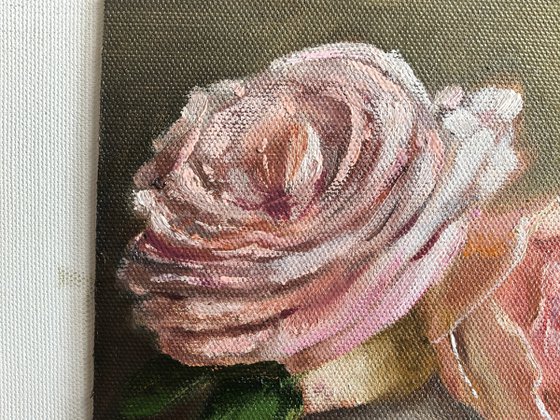 Pink roses still life