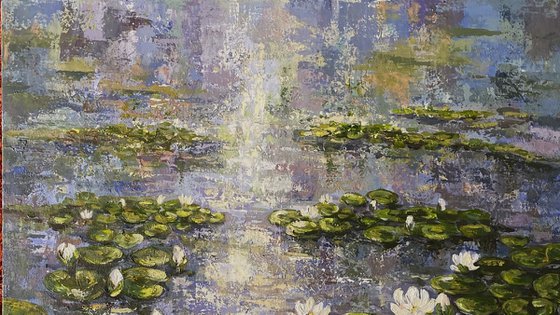 Rain on Lilly pond
