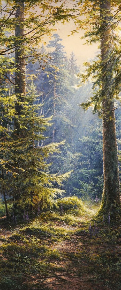 Morning forest by Viktar Yushkevich YUVART