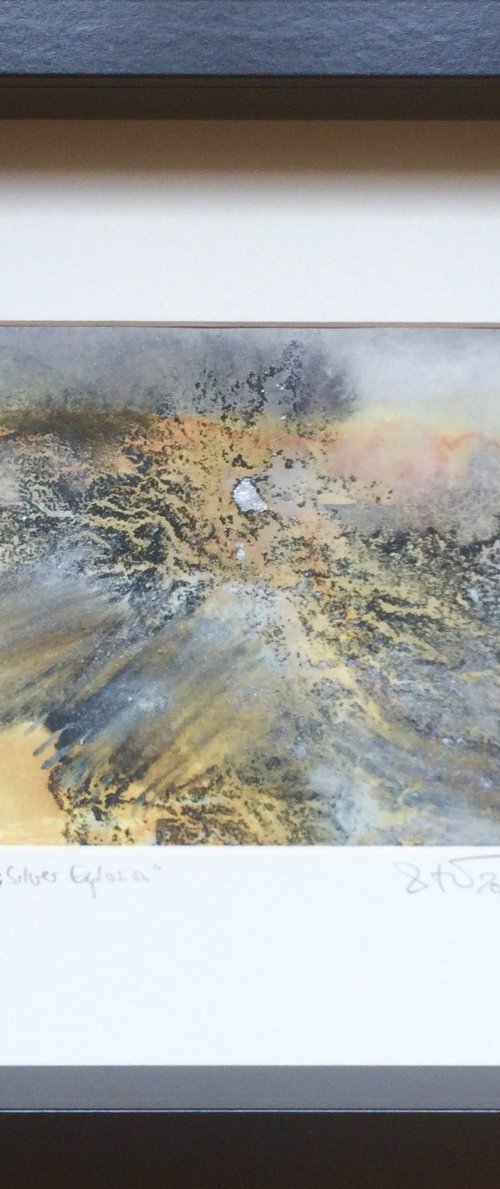 Silver Explosion by Gesa Reuter