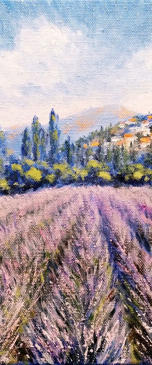 France. Provence by Oleh Rak